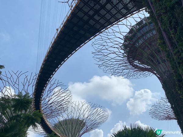 濱海灣花園的天空樹已經是新加坡的一個標誌性的景點,由數10棵...