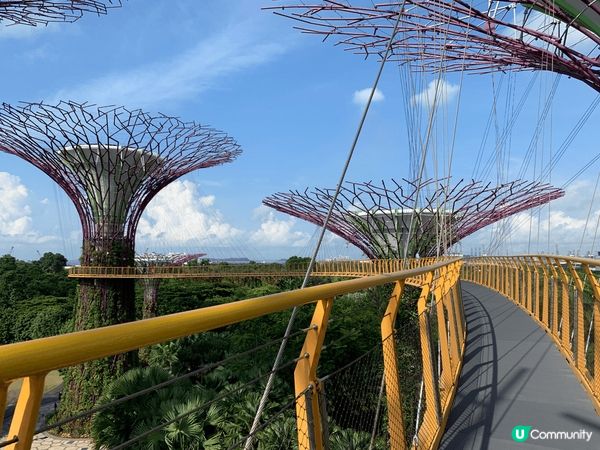 濱海灣花園的天空樹已經是新加坡的一個標誌性的景點,由數10棵...