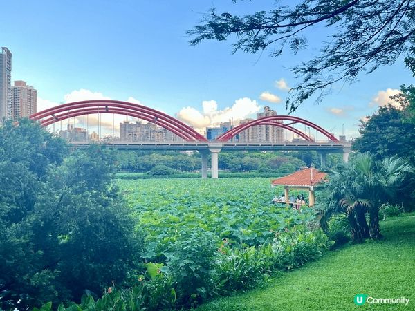 洪湖公園面積實在太大了，上次遊玩完北邊，今次繼續逛南邊，去到...