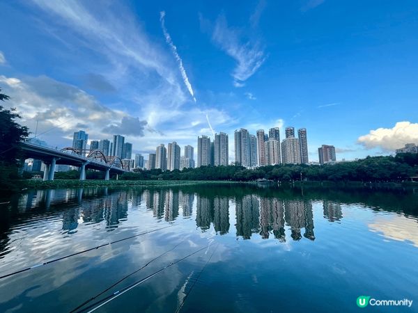 洪湖公園面積實在太大了，上次遊玩完北邊，今次繼續逛南邊，去到...