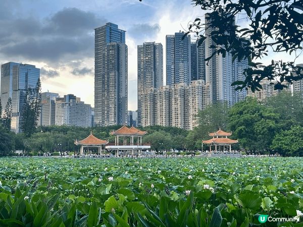 洪湖公園面積實在太大了，上次遊玩完北邊，今次繼續逛南邊，去到...