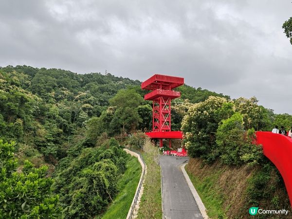 位於深圳的虹橋公園，值得花半天時間造訪。因為景靚易行，怕熱的...