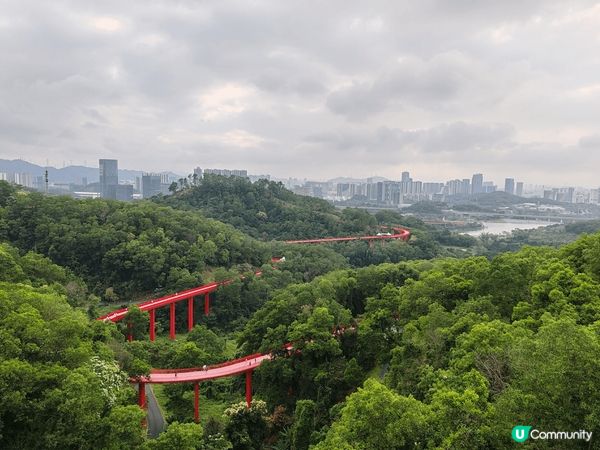 位於深圳的虹橋公園，值得花半天時間造訪。因為景靚易行，怕熱的...