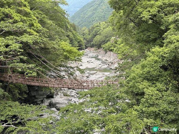 1. 四國-德島縣-奧祖谷二重藤蔓橋