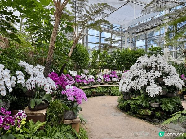 在熱帶夢想中心內，種植熱帶與亞熱帶的花卉、果樹，以及時常展示...