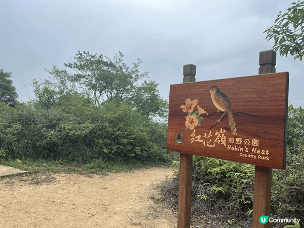 紅花嶺郊游徑，有風景看，有曆史古積，值得一去！