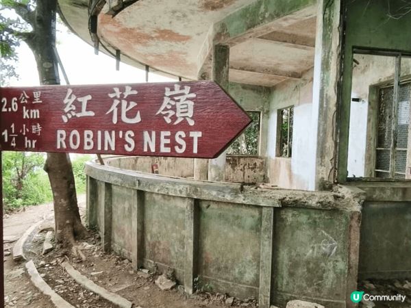 紅花嶺郊游徑，有風景看，有曆史古積，值得一去！