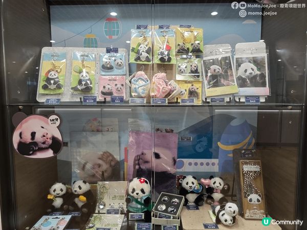 🐼大熊貓郵局登陸九龍灣！新．郵展廊打卡＋蓋印一站式玩哂！