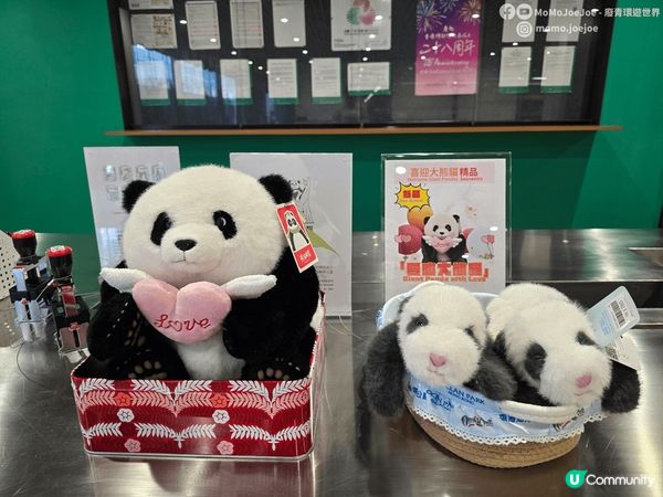 🐼大熊貓郵局登陸九龍灣！新．郵展廊打卡＋蓋印一站式玩哂！