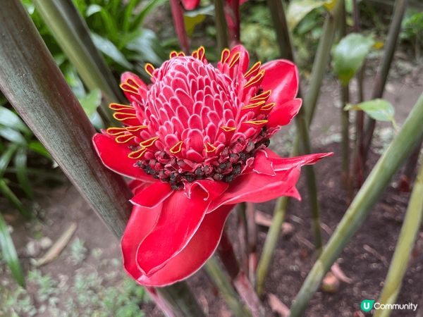 在台北看一年一度的福隆沙雕,巧遇上結合煙花和水舞的碧潭水舞季...