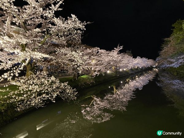 櫻花季的弘前公園及白石川堤一目千本櫻 #chill嘆旅行