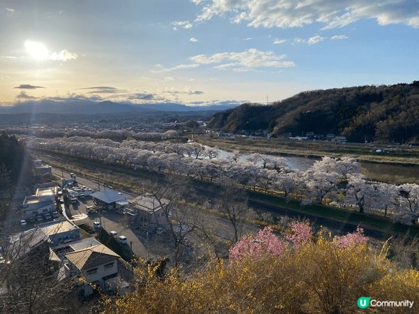 櫻花季的弘前公園及白石川堤一目千本櫻 #chill嘆旅行