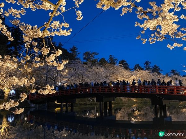 櫻花季的弘前公園及白石川堤一目千本櫻 #chill嘆旅行