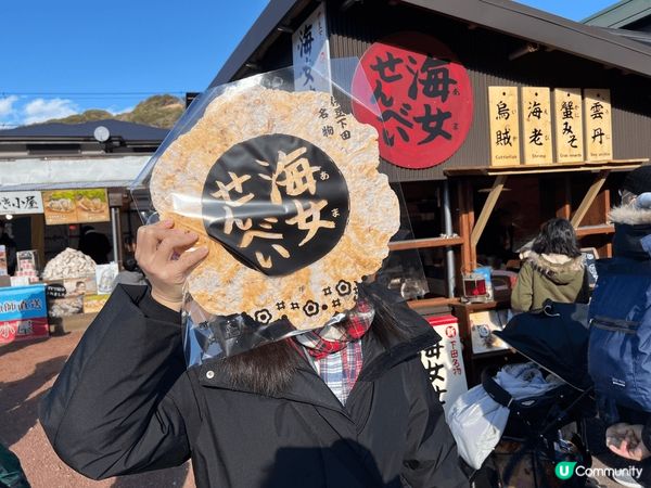 我覺得永遠都係最靚既河津櫻，可能係有情意結喺度。
