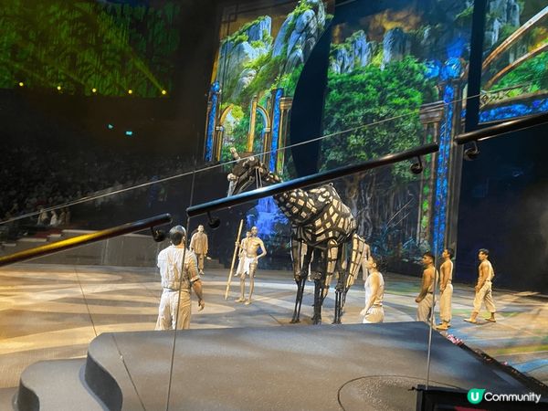 推介澳門水舞間，每一個特技都很刺激，加入很多舞蹈和音樂，整個...