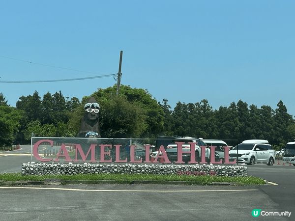 濟洲的風景真係好靚，天氣很好很舒服，去了山茶花之丘，Snoo...