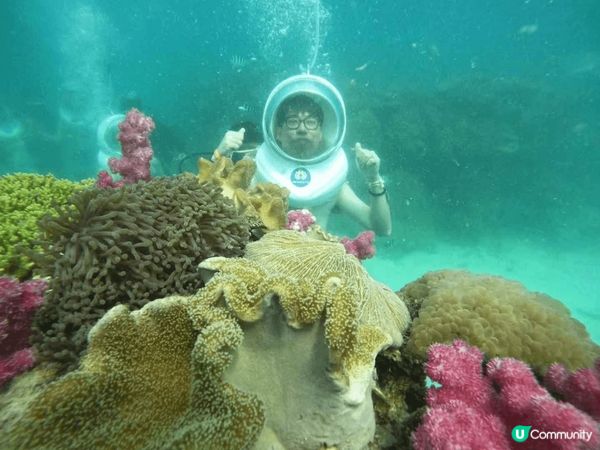富國島 跳島之旅
