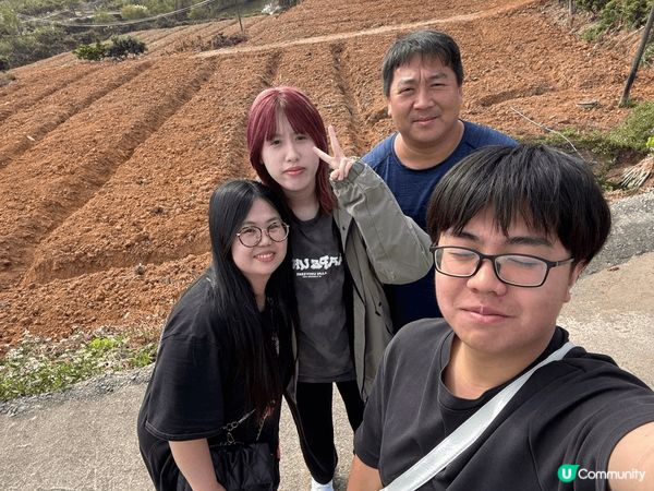 在內地不同的景點拍出來的照片，分別有桔書種植場和賞花的區域