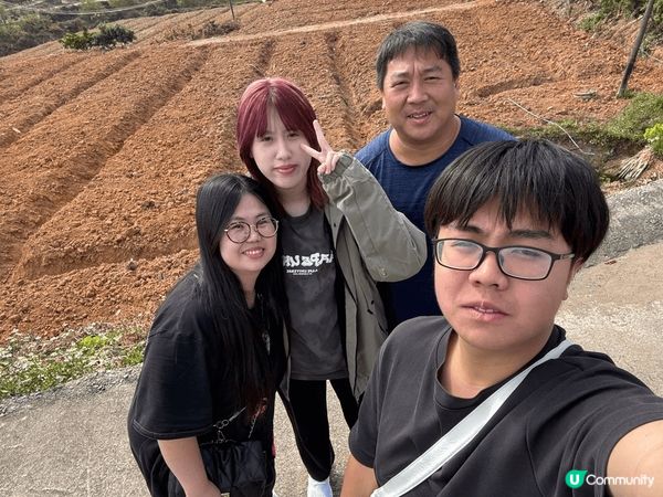 在內地不同的景點拍出來的照片，分別有桔書種植場和賞花的區域