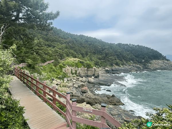 這是去釜山的萇山和五六島，這兩個地方需要徒步走至少數小時，我...