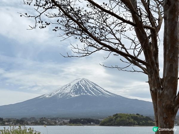 富士山美景，夏天又有特別的一番味道。