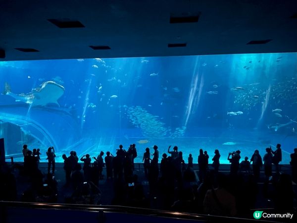沖繩美麗海水族館
