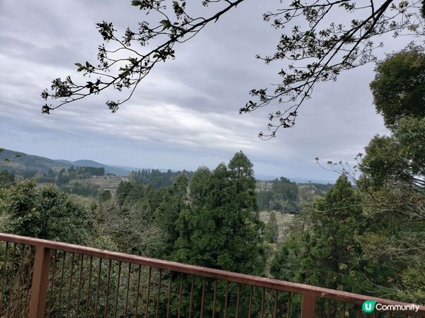 我們去了鹿兒島嘅霧島神宮展望台，不單可以遠眺櫻島火山，又有霧...