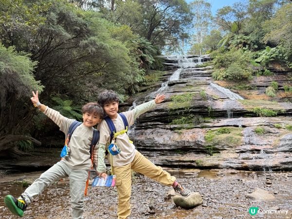 悉尼藍山⛰️！勁好玩過山車🎢！靚爆！🤩