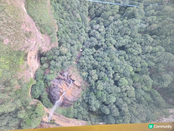悉尼藍山⛰️！勁好玩過山車🎢！靚爆！🤩