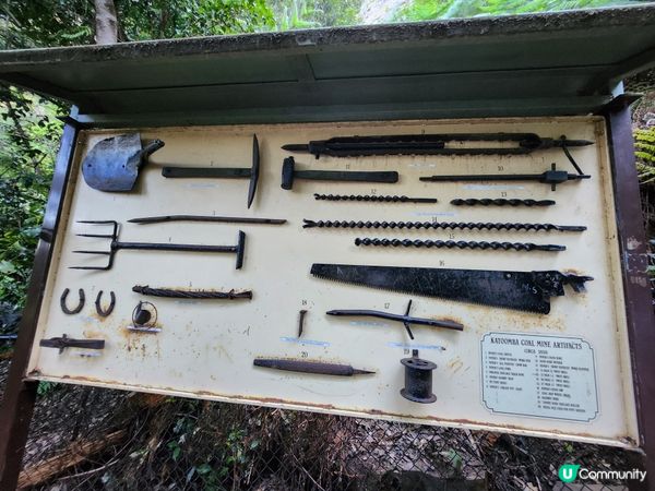 悉尼藍山⛰️！勁好玩過山車🎢！靚爆！🤩