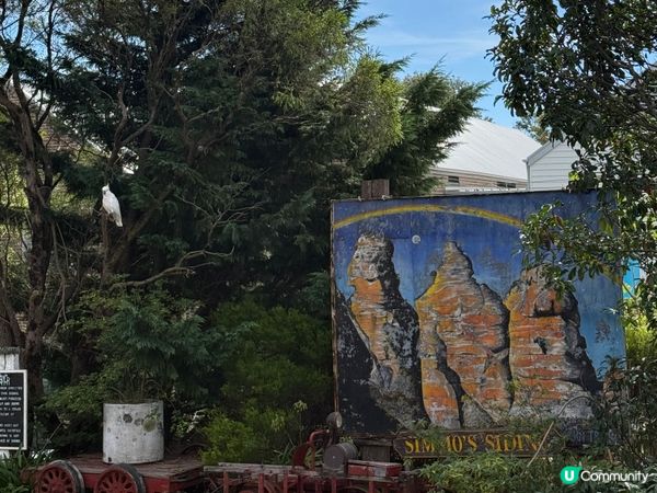 悉尼藍山⛰️！勁好玩過山車🎢！靚爆！🤩