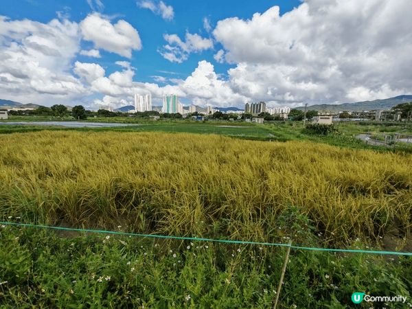 珠海是一個 活動的城市充滿動力的城市, 食玩住都平, 深圳嘅...