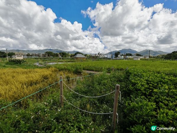 珠海是一個 活動的城市充滿動力的城市, 食玩住都平, 深圳嘅...