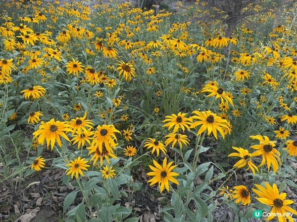 之前終於有機會去到新疆～ 