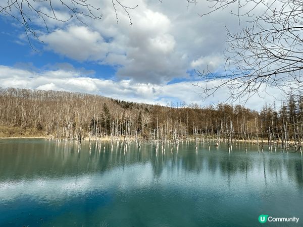 Enjoy the beautiful scenery in...