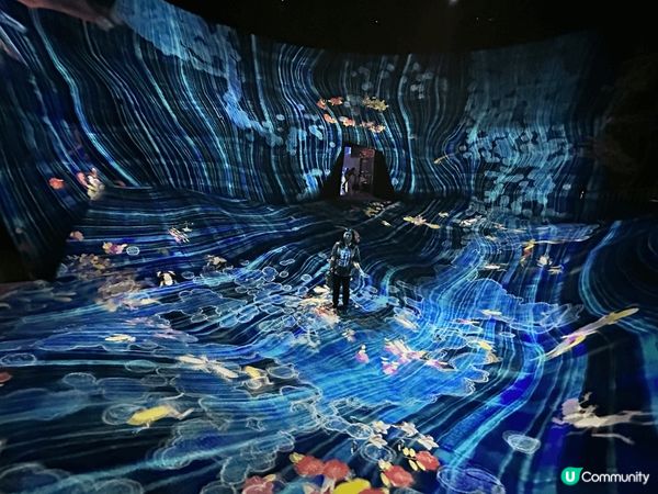 Team Lab 在世界不同的地方都要做展覽，我之前在日本台...