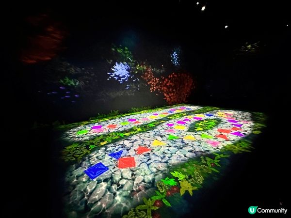 Team Lab 在世界不同的地方都要做展覽，我之前在日本台...