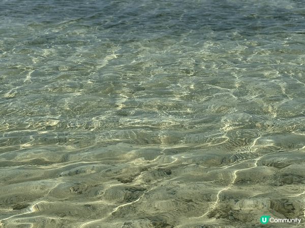 沖繩是一個充滿熱帶風情的美麗島嶼，這裡有許多值得探索的景點。...