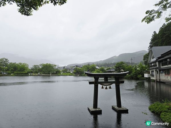 由布院金鱗湖清晨美景, 因為這個湖的湖水溫度全年皆高, 形成...