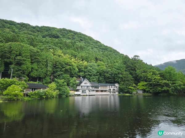 由布院金鱗湖清晨美景, 因為這個湖的湖水溫度全年皆高, 形成...