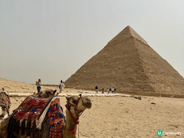 自由行🇪🇬埃及🌍✨