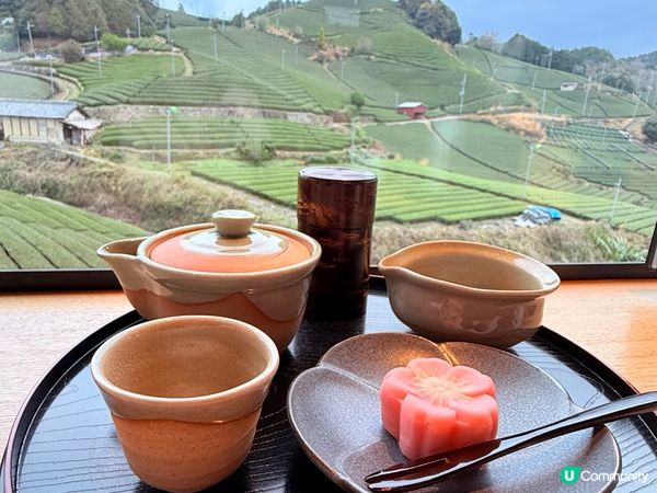 京都石寺の茶畑 Dan Dan Cafe