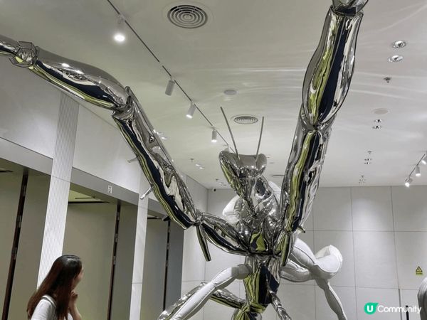 上星期去探圳 HAUS NOWHERE真的很大，很多野買，設...