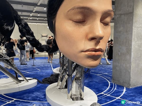 上星期去探圳 HAUS NOWHERE真的很大，很多野買，設...