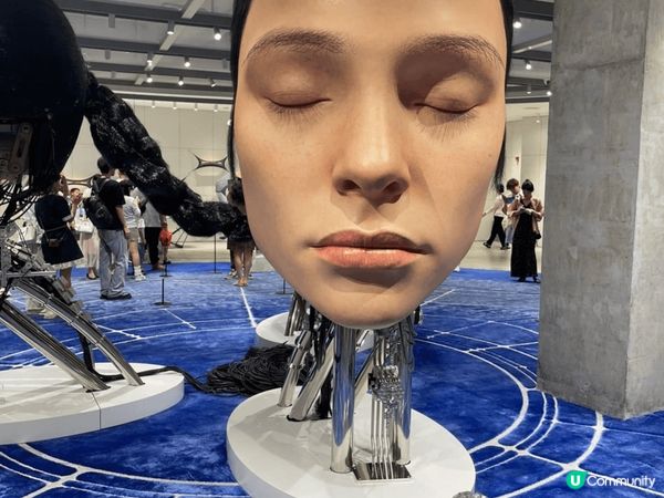 上星期去探圳 HAUS NOWHERE真的很大，很多野買，設...