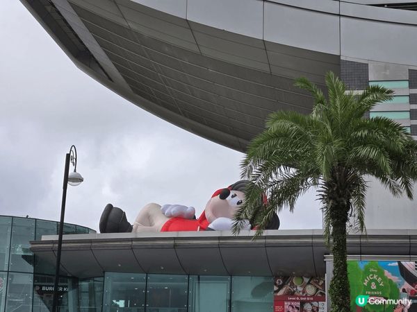 山頂之上，屬於我嘅「Mickey Keep It Real」...