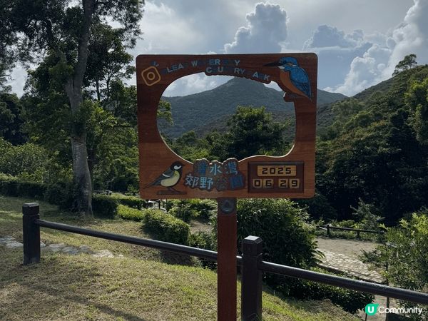 清水灣郊野公園，一家大細都啱去嘅地方，靚靚太陽加上好天氣，如...