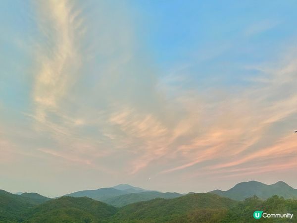 （十五)領養較大齡的兒童