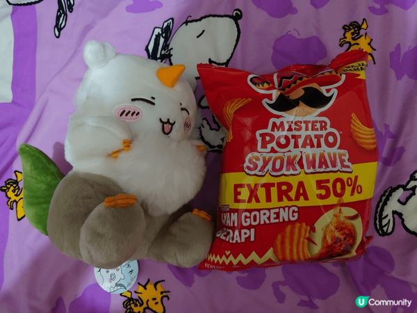 我真係好鍾意飛鼠㗎, 嗰條尾好鬼得意㗎, 佢哋其他小八兔兔都...