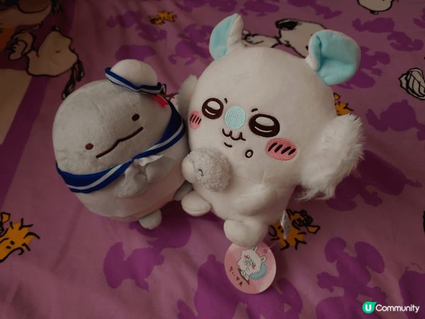 我真係好鍾意飛鼠㗎, 嗰條尾好鬼得意㗎, 佢哋其他小八兔兔都...